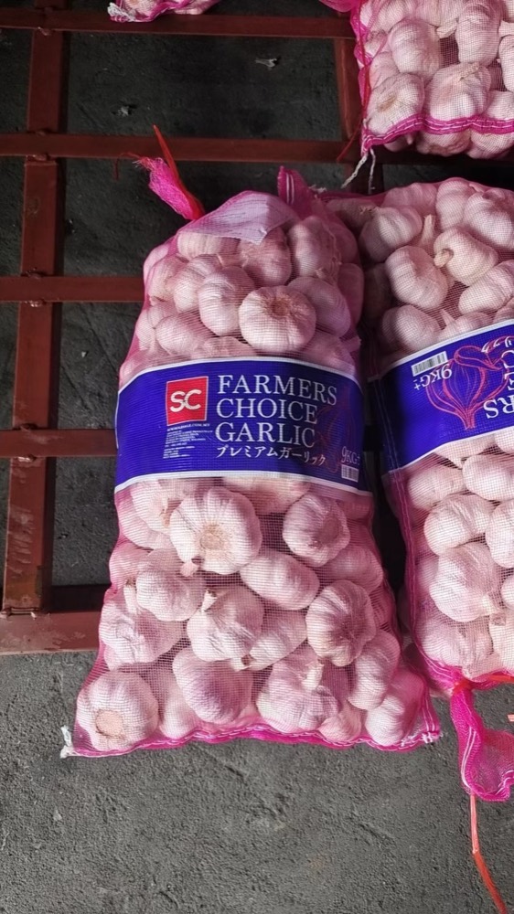 Bawang putih borong