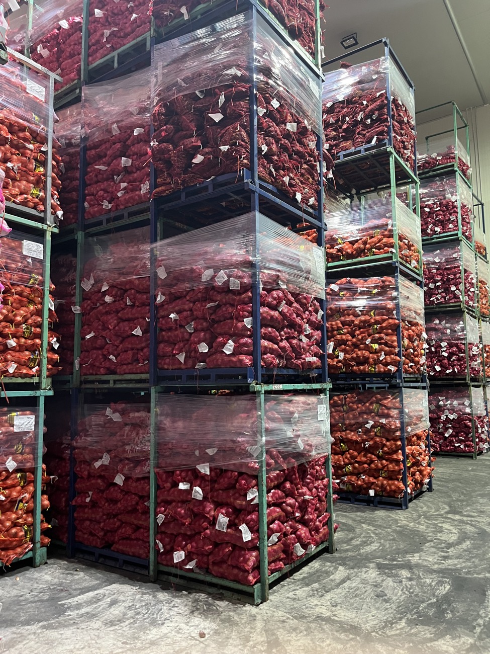 Wholesale onions in bulk at SC Wholesale Klang — bawang borong